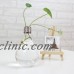 Clear Light Bulb Shape Stand Glass Plant Flower Vase Hydroponic Container Bottle   181931846873